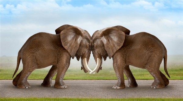 Littlewoods Blog Awards