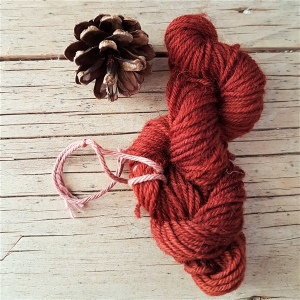 Leftfootdaisy-solar-dyeing-woolly-goodness-sock-yarn-madder-root