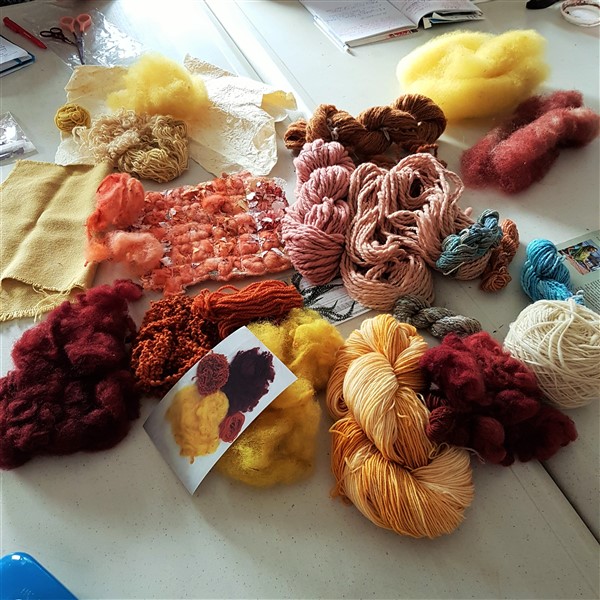 2Leftfootdaisy-solar-dyeing-woolly-goodness-guild-samples