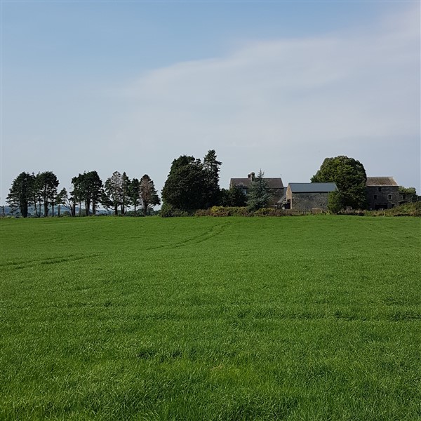 leftfootdaisy-september-farm