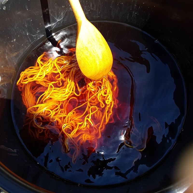 Leftfootdaisy-dyeing-in-the-sun-procion-dyes-soaking