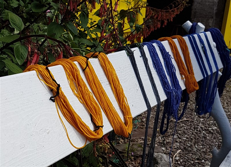 Leftfootdaisy-dyeing-in-the-sun-procion-dyes-yarn-from-the-dyepot-yellow-blue