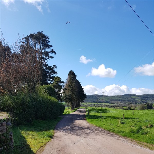 leftfootdaisy-knitting-for-little-people-farm-life-sunshine