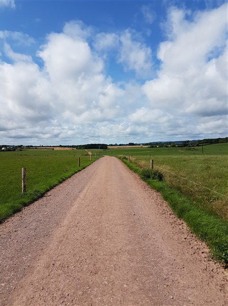 leftfootdaisy-Yarnfolk-Festival-of-Wool-2018-My-Haul-farm-photo