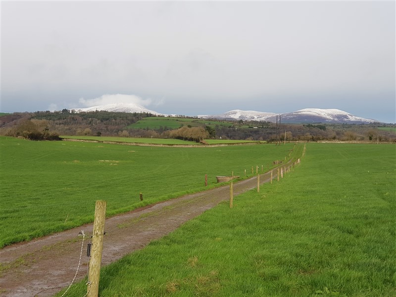 leftfootdaisy-poor-neglected-blog-farm-january-featured-image