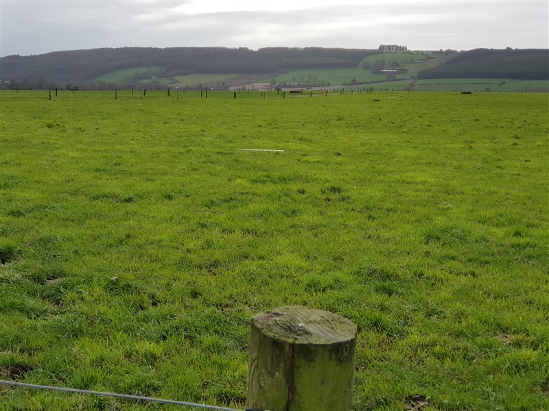 like-to-teach-the-world-to-spin-featured-image