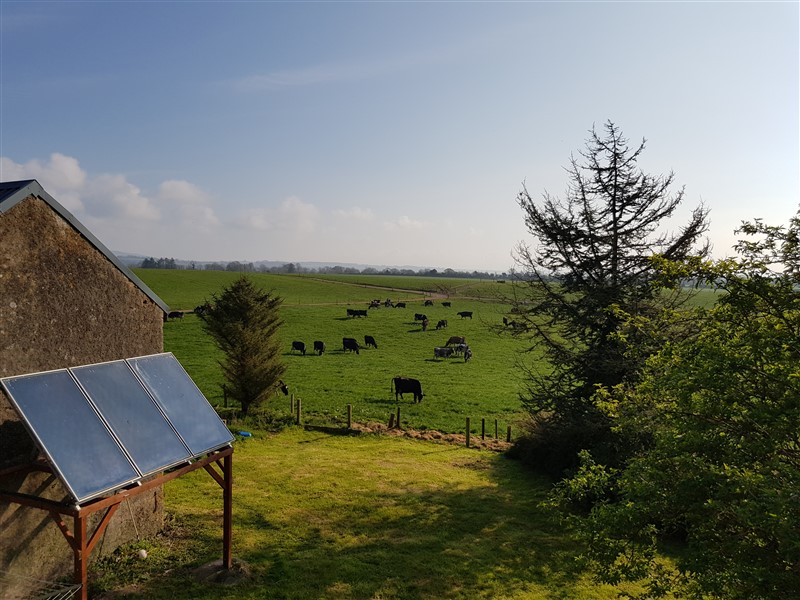 leftfootdaisy-colour-exploration-tapestry-weaving-featured-image